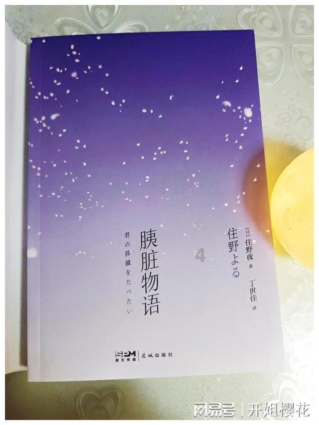 海盗的寻宝之旅